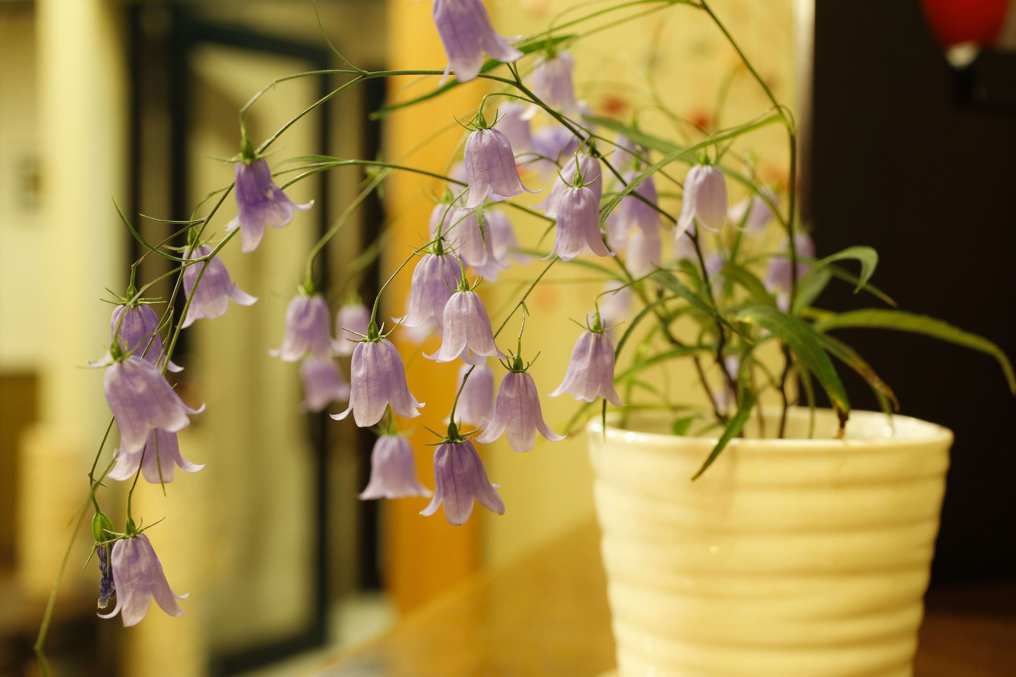 Ryokan Kutsuroginoya Yuu Takajama Kültér fotó